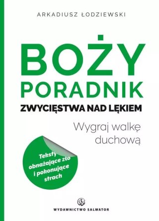 Boży poradnik zwycięstwa nad lękiem. Wygraj walkę duchową