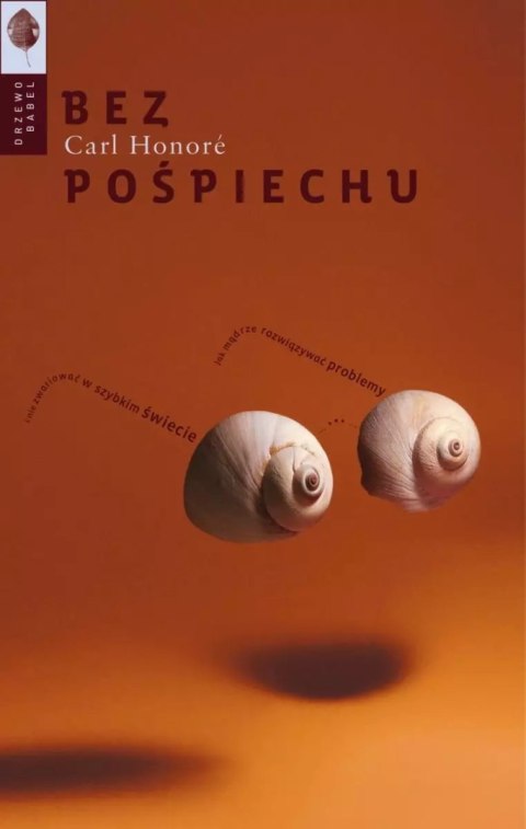 Bez pośpiechu. Jak mądrze rozwiązywać problemy i nie zwariować w szybkim świecie