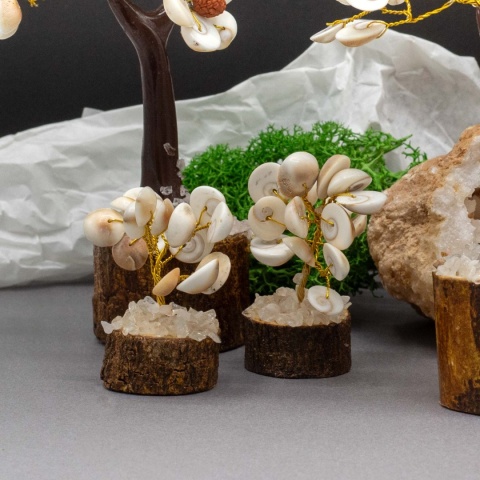 Małe Drzewko z Kamieniami Gomati Chakra (15 kamieni)