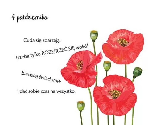 Rok pozytywnych zmian