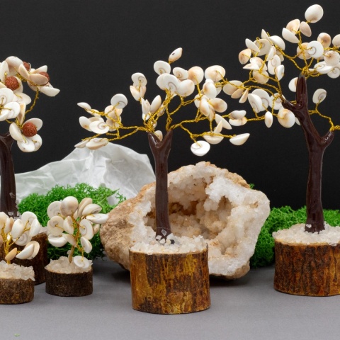 Średnie Drzewko z Kamieniami Gomati Chakra (45 kamieni)