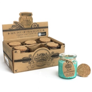 Świeczka sojowa o zapachu jabłka z cynamonem